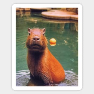 Capybara Onsen Sticker